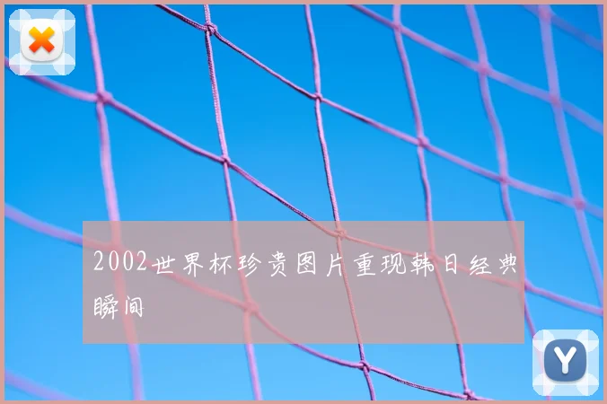 2002世界杯珍贵图片重现韩日经典瞬间