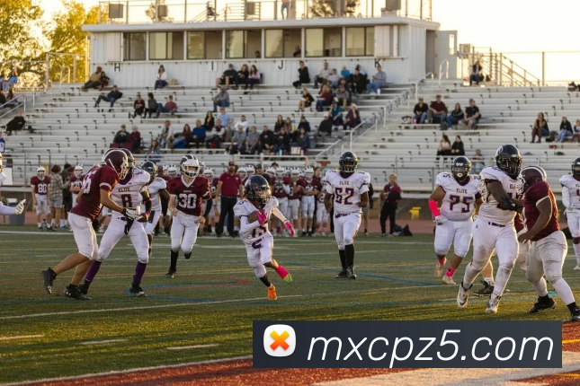 米兰在线体育官网APP 封面图